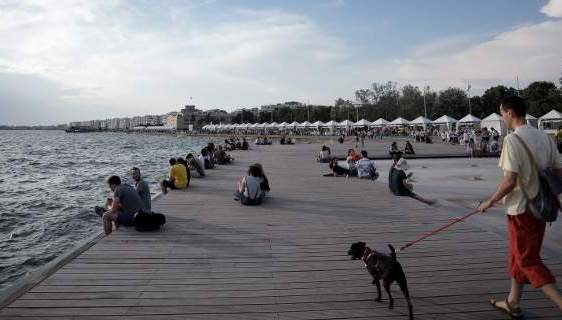 Νεκρά ποντίκια στον Θερμαϊκό – Σε όλο το μήκος της παραλιακής (ΦΩΤΟ)