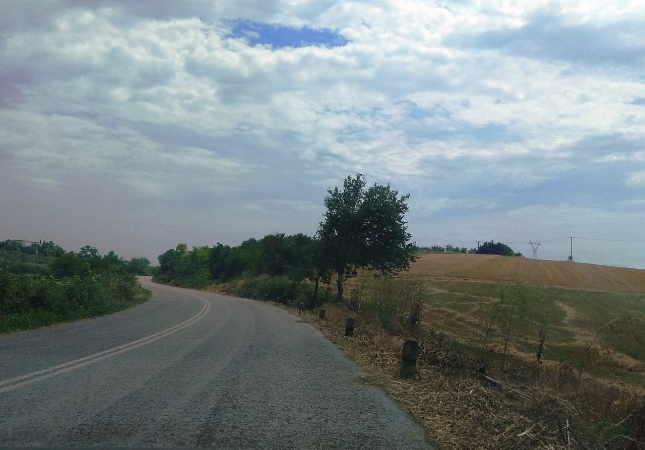 «Καθαρίστηκε» από δέντρα, κλαδιά και χόρτα η Π.Ε.Ο. από τον Κορινό ως τα όρια του νομού