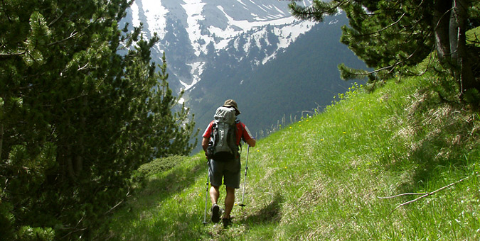 Το πρόγραμμα δραστηριοτήτων Ιουνίου του Φυσιολατρικού Συλλόγου Λιτοχώρου