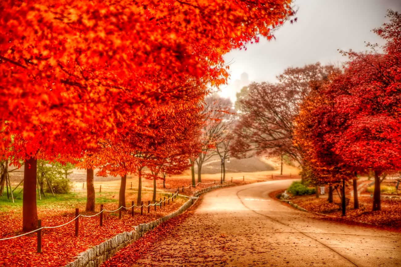 Καλό μήνα! Επτά ενδιαφέρουσες πληροφορίες για τον Νοέμβριο, γνωστό και ως Αντριά