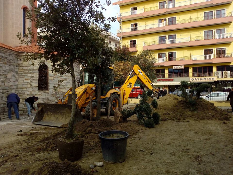 Φυτεύτηκαν τα πρώτα δέντρα στην Αστική Σχολή Κατερίνης! (ΦΩΤΟ)