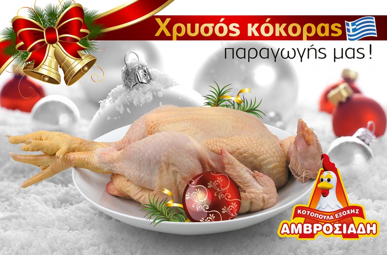 Χρυσός Κόκορας Αμβροσιάδη – Ειδική εκτροφή με αιθέρια αρωματικά φυτά