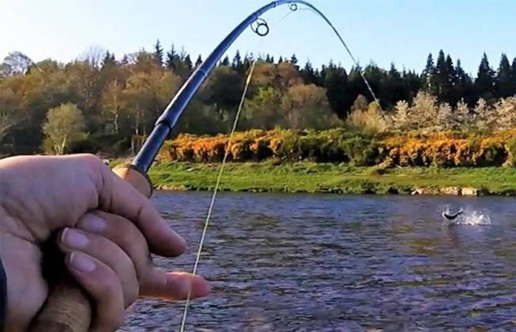 Απαγόρευση αλιείας στα εσωτερικά ύδατα του Νομού Πιερίας