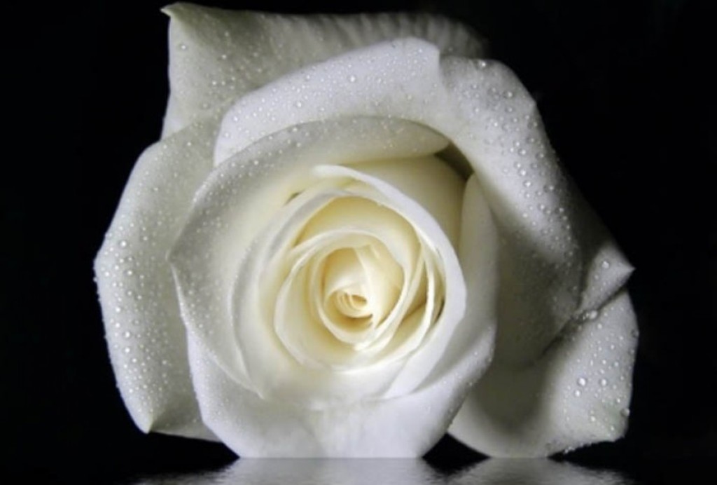 Κατερίνη: “Έφυγε” σε ηλικία  37 ετών ο Ευστράτιος Γιαννούλης