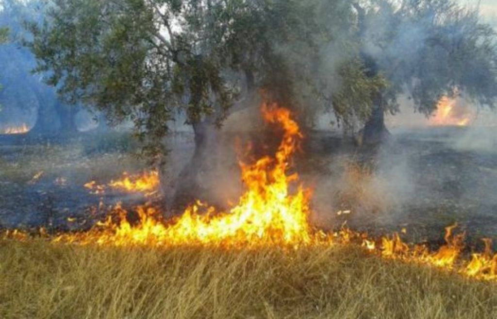 Ενημέρωση από την Πυροσβεστική Υπηρεσία Κατερίνης για την απαγόρευση καύσης