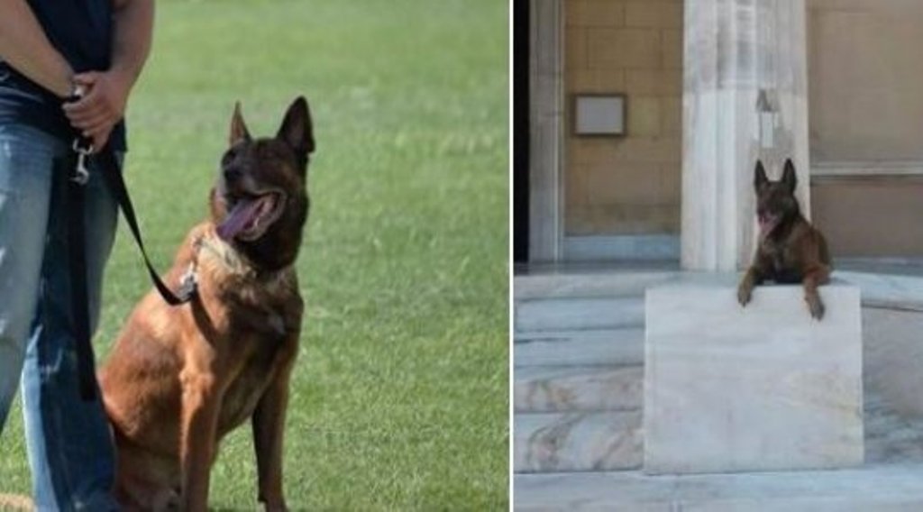 Η Ελληνική Αστυνομία αποχαιρετά τον Άρη, τον σκύλο που έβρισκε εκρηκτικά