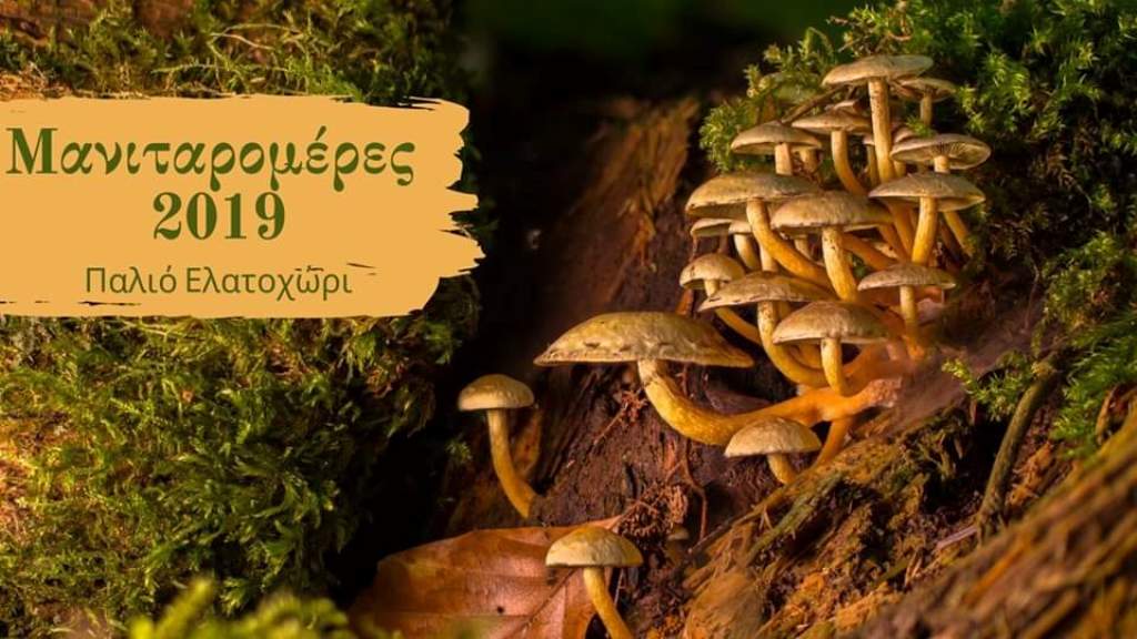 Μανιταρομέρες 2019 στο Παλιό Ελατοχώρι το τριήμερο 18-20 Οκτωβρίου