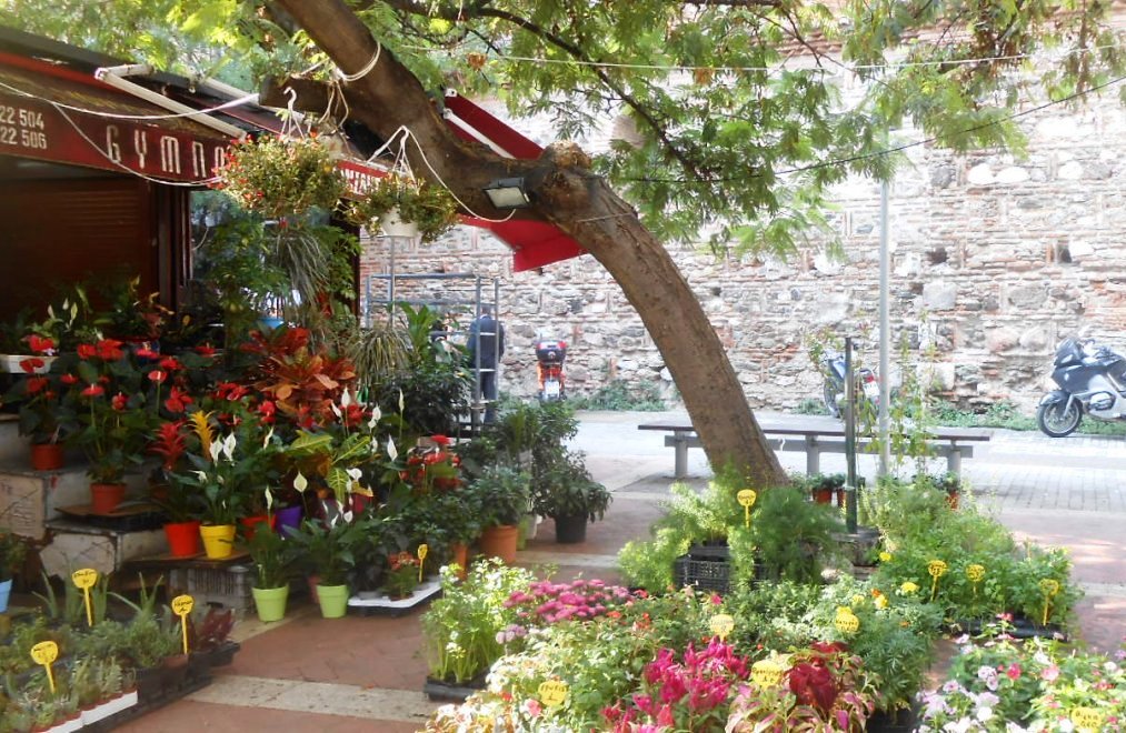 Άνθη-Φυτά εν μέσω κορονοϊού: Ο κόσμος αγοράζει ό,τι είναι ανθισμένο, ό,τι έχει χρώμα!