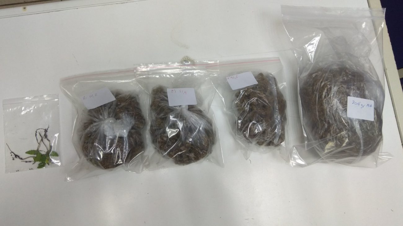 Κατερίνη: Σύλληψη 2 ατόμων για ναρκωτικά – Εντοπίστηκαν πάνω από 350 γρ. κάνναβης