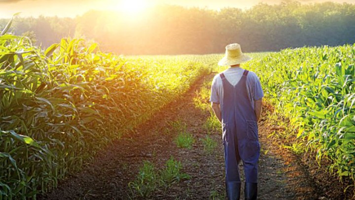 Πιερική Αναπτυξιακή: Βιωματικές ιστορίες επιτυχίας ευφυούς γεωργίας