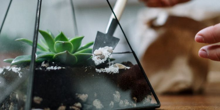 Ζώδια 17/9: Νέα Σελήνη στην Παρθένο – Τι προβλέπεται για κάθε ζώδιο