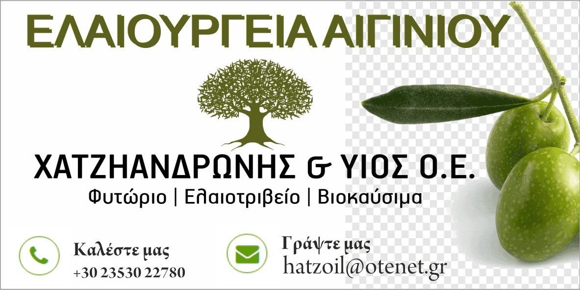 Ελαιουργεία Αιγινίου Χατζηανδρώνης & Yιός ΟΕ – Κλείστε τώρα ραντεβού στο τηλ. 23530 22780