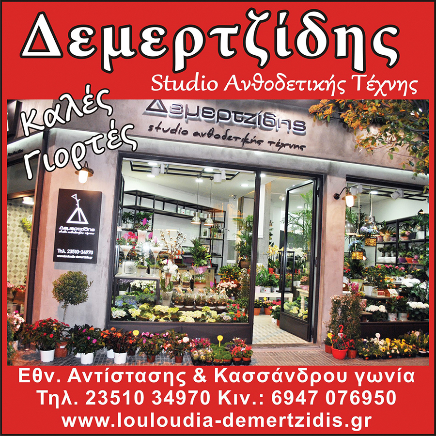 Το Studio Ανθοδετικής Τέχνης Δεμερτζίδης σας εύχεται Καλές Γιορτές