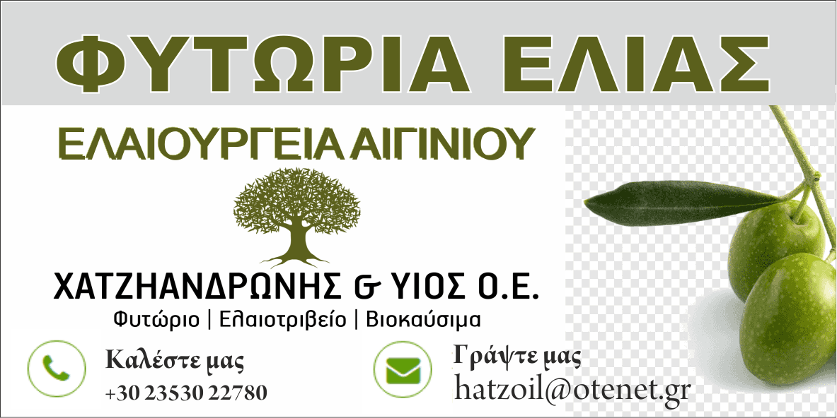 Φυτώρια Ελιάς: Χατζηανδρώνης & Υιός Ο.Ε.