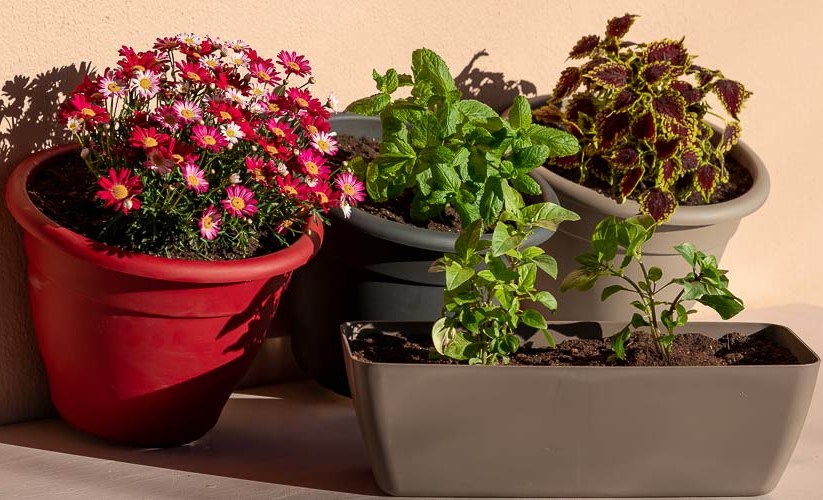 Κρήτη: Eπιτέθηκε στον εν διαστάσει σύζυγό της με μαχαίρια και… γλάστρες