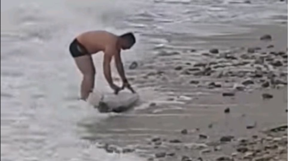 Καβάλα: Συγκινητική επιχείρηση διάσωσης ενός δελφινιού σε παραλία του Παγγαίου (ΒΙΝΤΕΟ)