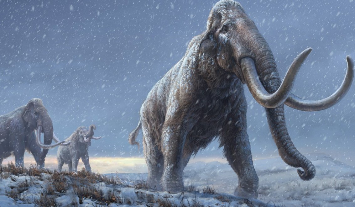 Σιβηρία: Aνακαλύφθηκε το αρχαιότερο DNA στον κόσμο σε απομεινάρια μαμούθ