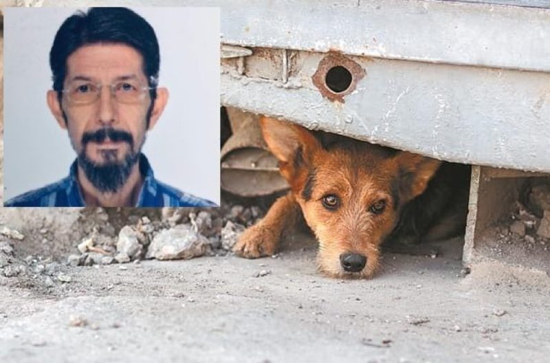 Μαρτυρίες για περίεργη συμπεριφορά ζώων πριν χτυπήσει ο εγκέλαδος – Ο Χουλιάρας για το αν στέλνουν προμήνυμα για σεισμό