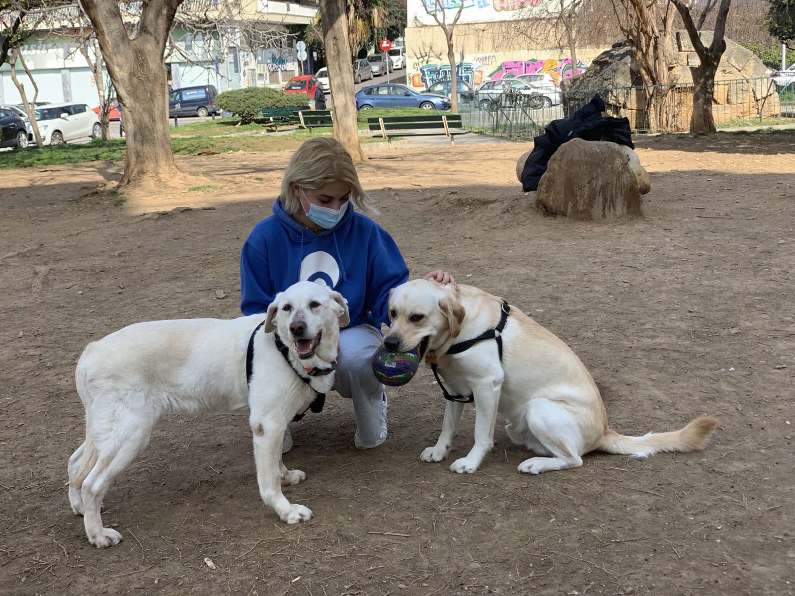 Η «Χιονονιφάδα» πήρε… σύνταξη από την ΕΛ.ΑΣ. και υιοθετήθηκε στη Θεσσαλονίκη (ΦΩΤΟ)