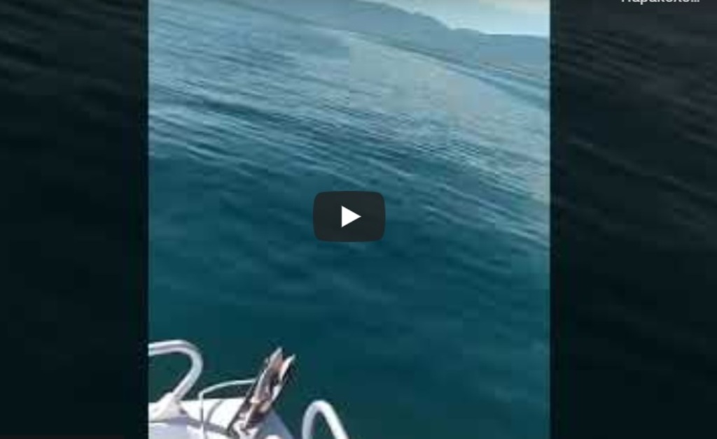 Θ. Αναστασιάδης: Κύριε Συμεωνίδη αυτή είναι η βλάβη που επισκευάσατε;