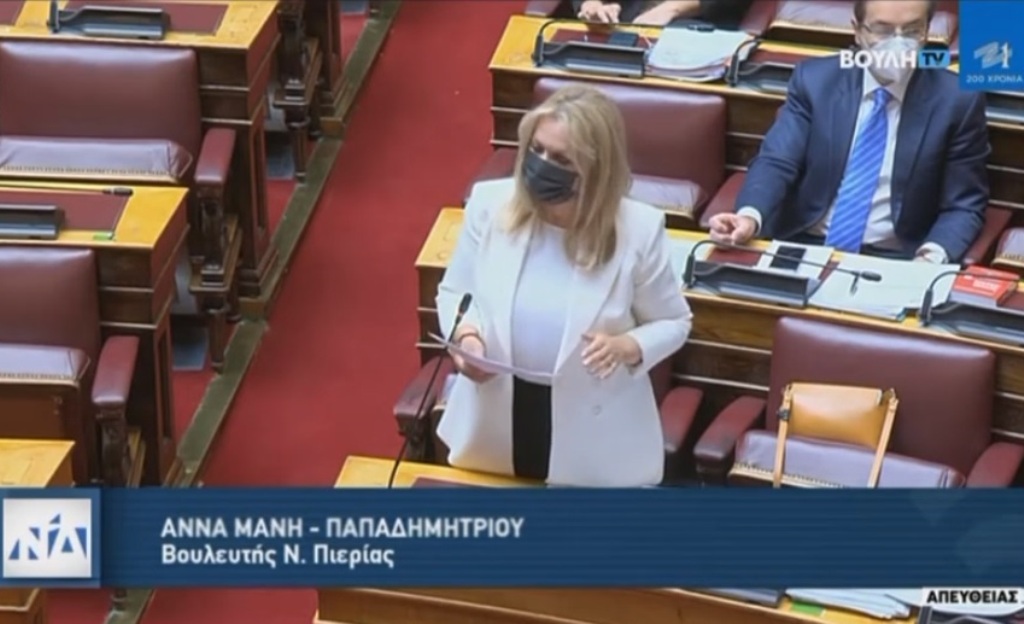 Η Ά. Μάνη ορίστηκε αντιλέγουσα στην ένσταση αντισυνταγματικότητας της Κ.Ο. του Μέρα25