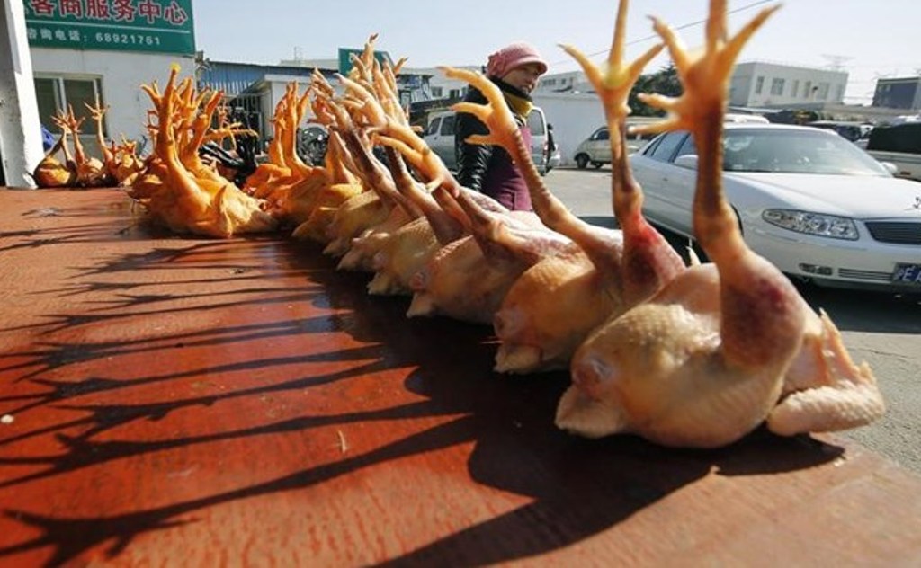 Κίνα: Καταγράφηκε το πρώτο κρούσμα γρίπης των πτηνών H10N3 σε άνθρωπο