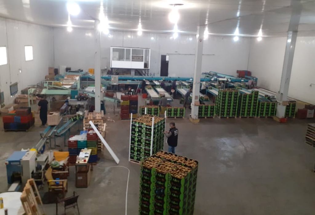 Ακτινιδιοπαραγωγοί της Πιερίας προτιμήστε φέτος την εταιρεία «ΒΑΛΛΙΔΗΣ ΙΚΕ»