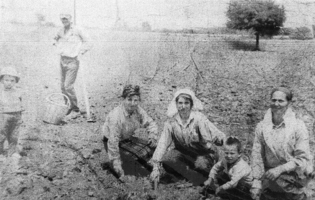 Το έθιμο «πιπιρούνα» στην παλαιά Λεπτοκαρυά – Γράφει ο Ιωάννης Τζιόλας