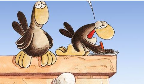 Αρκάς: Καλημέρα με τον μπαμπά και τον γιο σπουργίτη