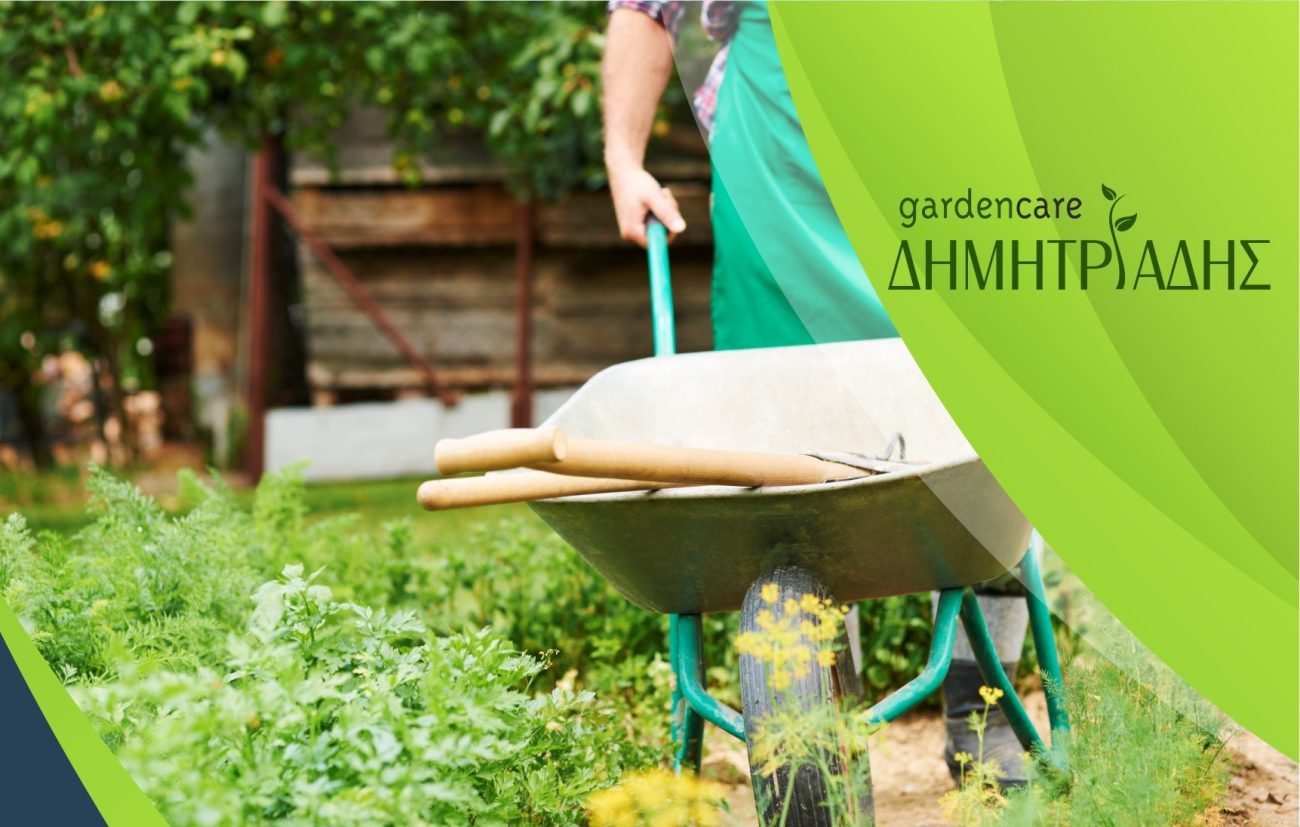Περιποίηση και συντήρηση κήπων Garden care – Δημητριάδης