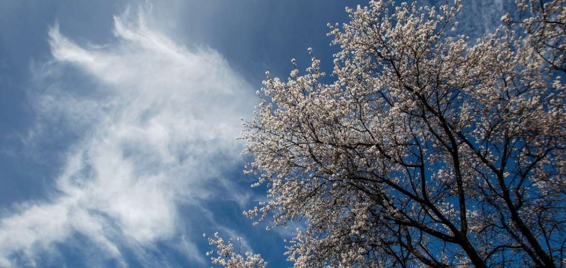 Ο καιρός σήμερα στην Πιερία