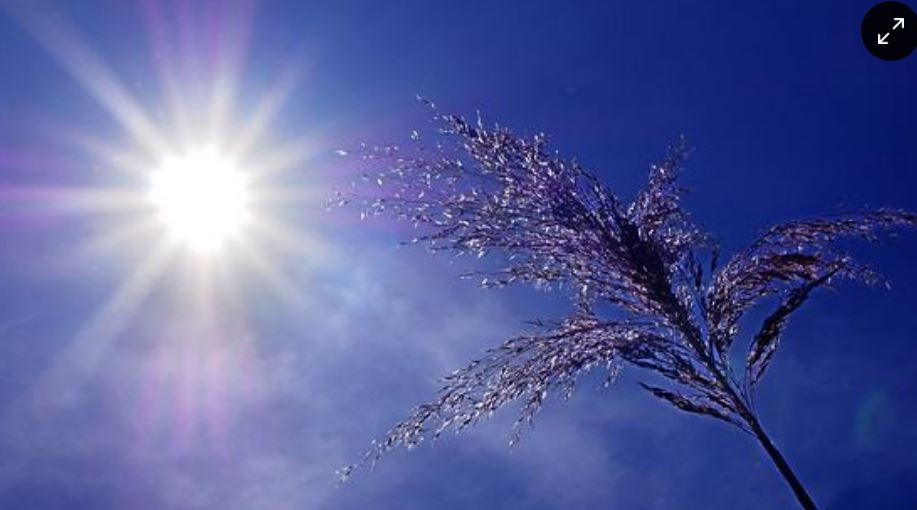 Μερομήνια: Πόσο θα υποφέρουμε από καύσωνες το φετινό καλοκαίρι