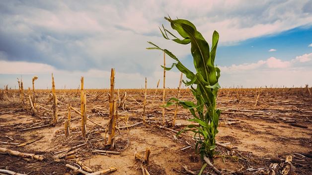 Κλιματική αλλαγή: Συνεχίστηκε και τον Απρίλιο η υπερθέρμανση του πλανήτη