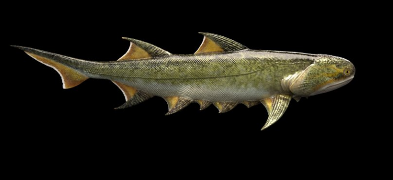 Τεράστια ανακάλυψη σαν τα «σαγόνια του καρχαρία»: Ανακαλύφθηκε απολίθωμα ψαριού ηλικίας 439 εκατ. ετών (ΒΙΝΤΕΟ)