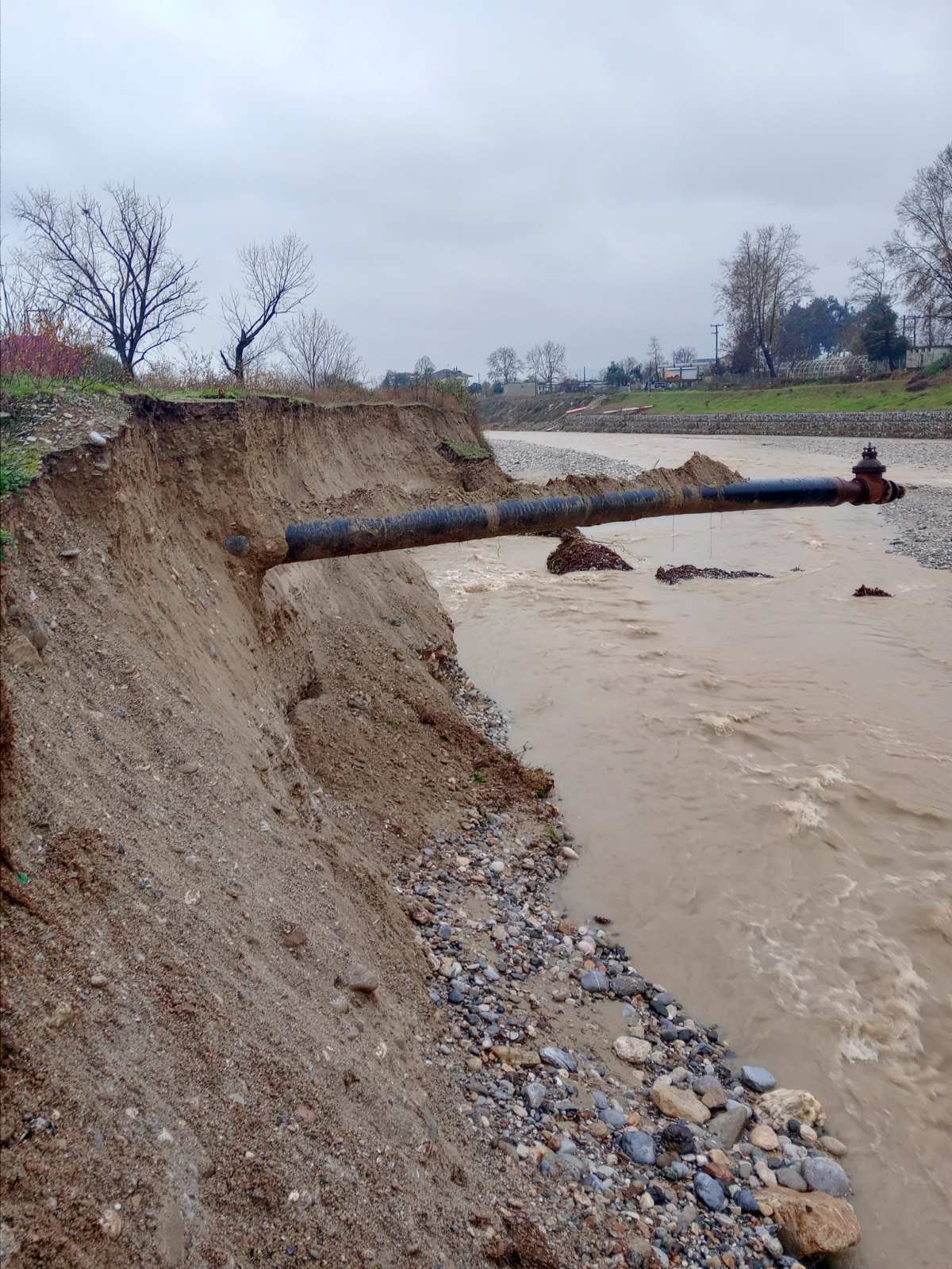 Γνωσούλα Χαϊλατζίδου – Πέλεκας:  «Οι τοπικοί άρχοντες αδιαφορούν ή είναι απλά ανεπαρκείς;»