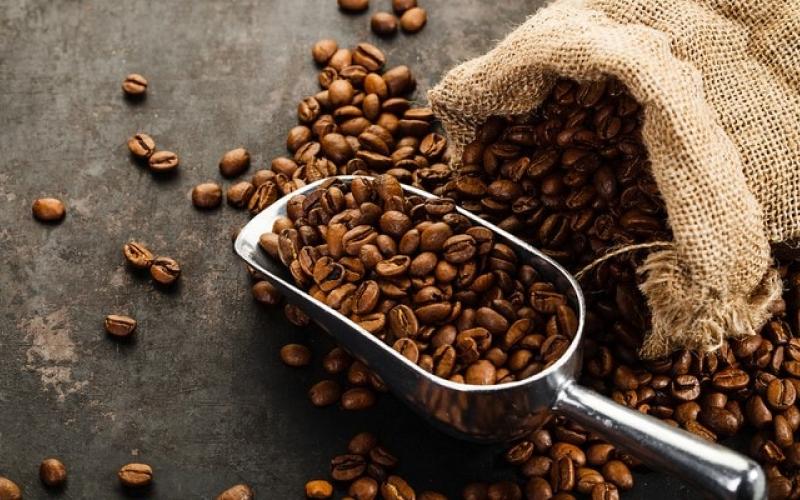 Ο καφές σε κίνδυνο από την κλιματική αλλαγή