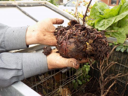 Η χρήση Κομπόστ ενισχύεται σε αροτριαίες και δενδρώδεις καλλιέργειες από 11 μέχρι 20 ευρώ