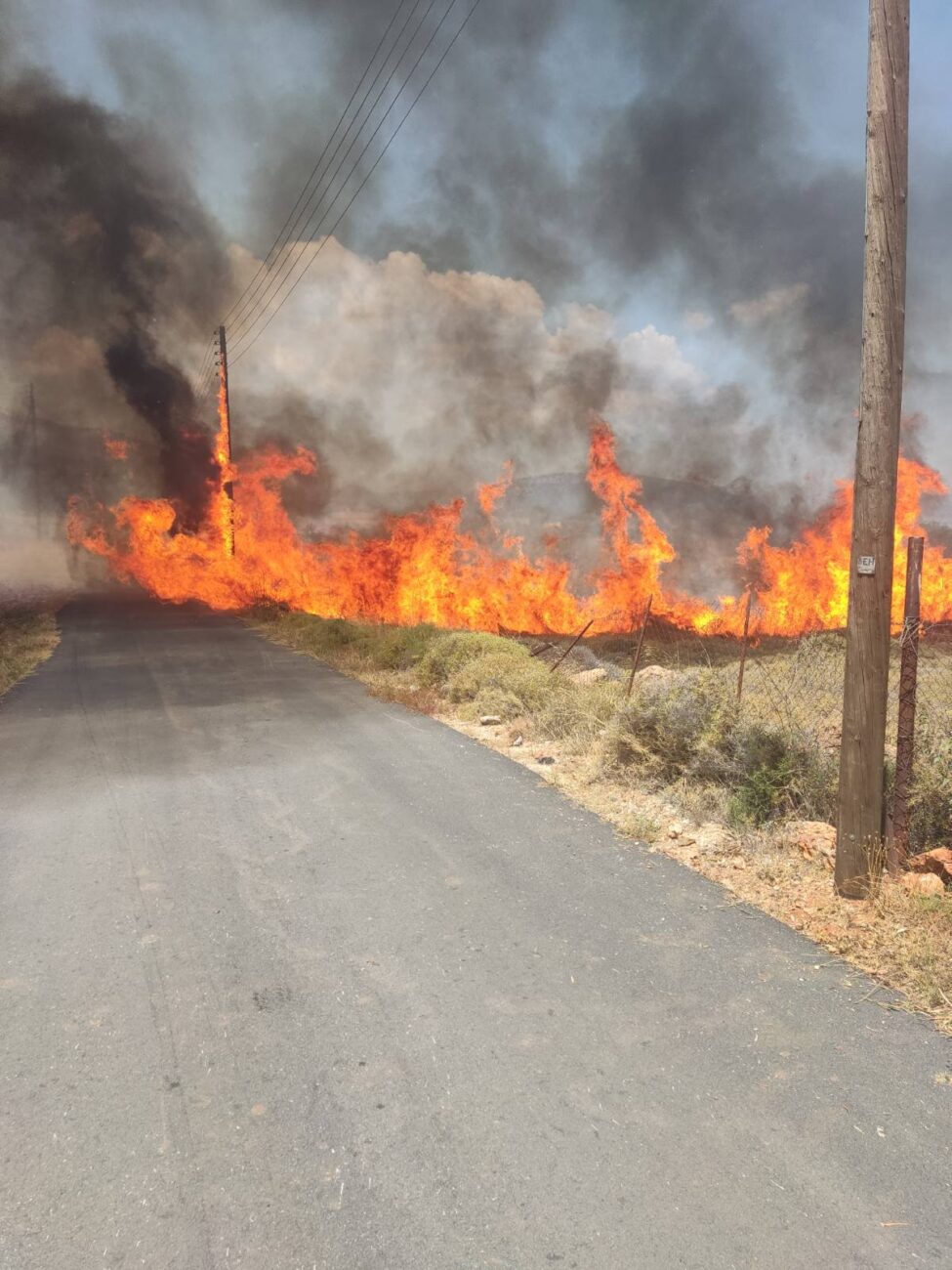 Έλαφος: Φωτιά σε αγροτική περιοχή
