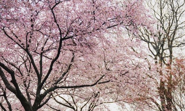 Τι προβλέπουν τα Μερομήνια για το Φθινόπωρο