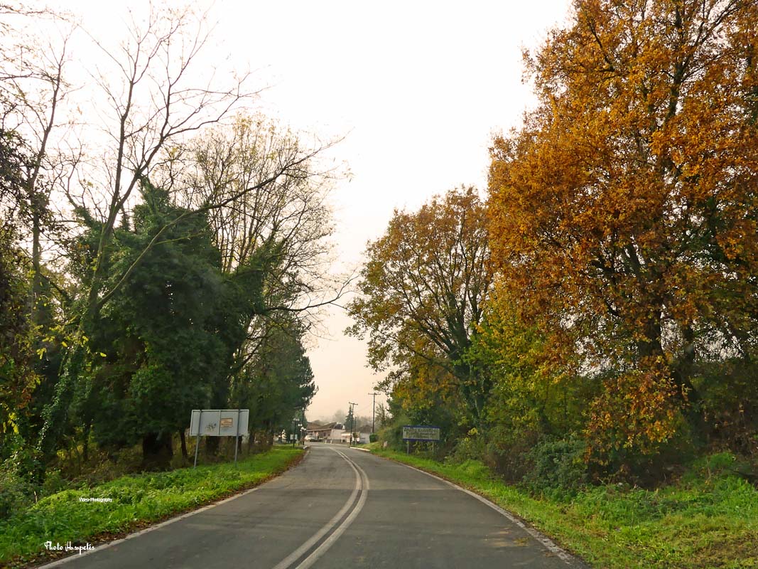 Φθινοπωρινά… «χρώματα» στην Καστανιά Πιερίας!