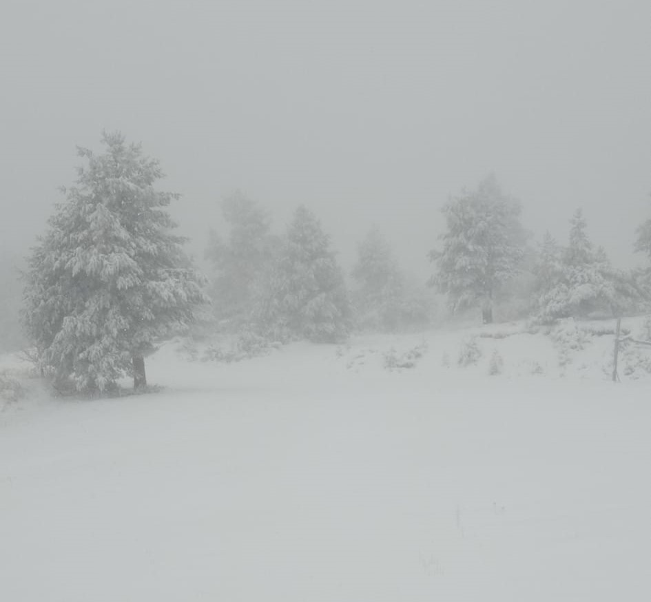 Ξεπέρασε τα 30 εκατοστά το χιόνι στο Χιονοδρομικό Κέντρο Ελατοχωρίου