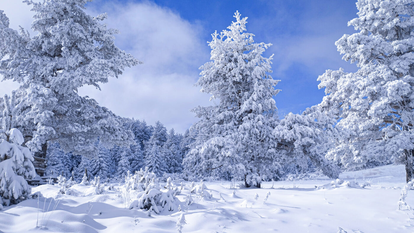 Εντυπωσιακές εικόνες από το Χιονισμένο Χιονοδρομικό Κέντρο Ελατοχωρίου