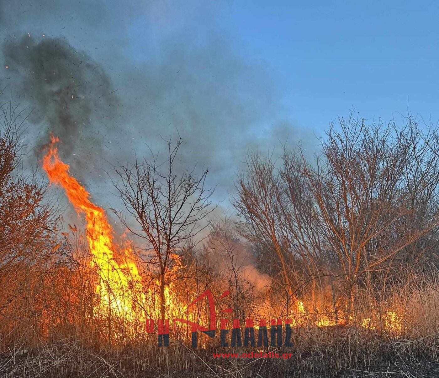 Φωτιά έξω από τους Νέους Πόρους {ΕΙΚΟΝΕΣ & ΒΙΝΤΕΟ}