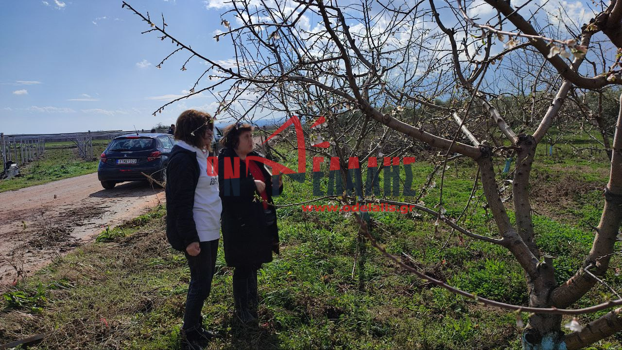 Κλιμάκιο του ΕΛΓΑ στην Πιερία