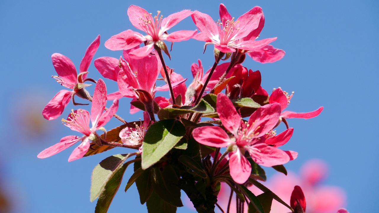 Ο καιρός σήμερα στην Πιερία