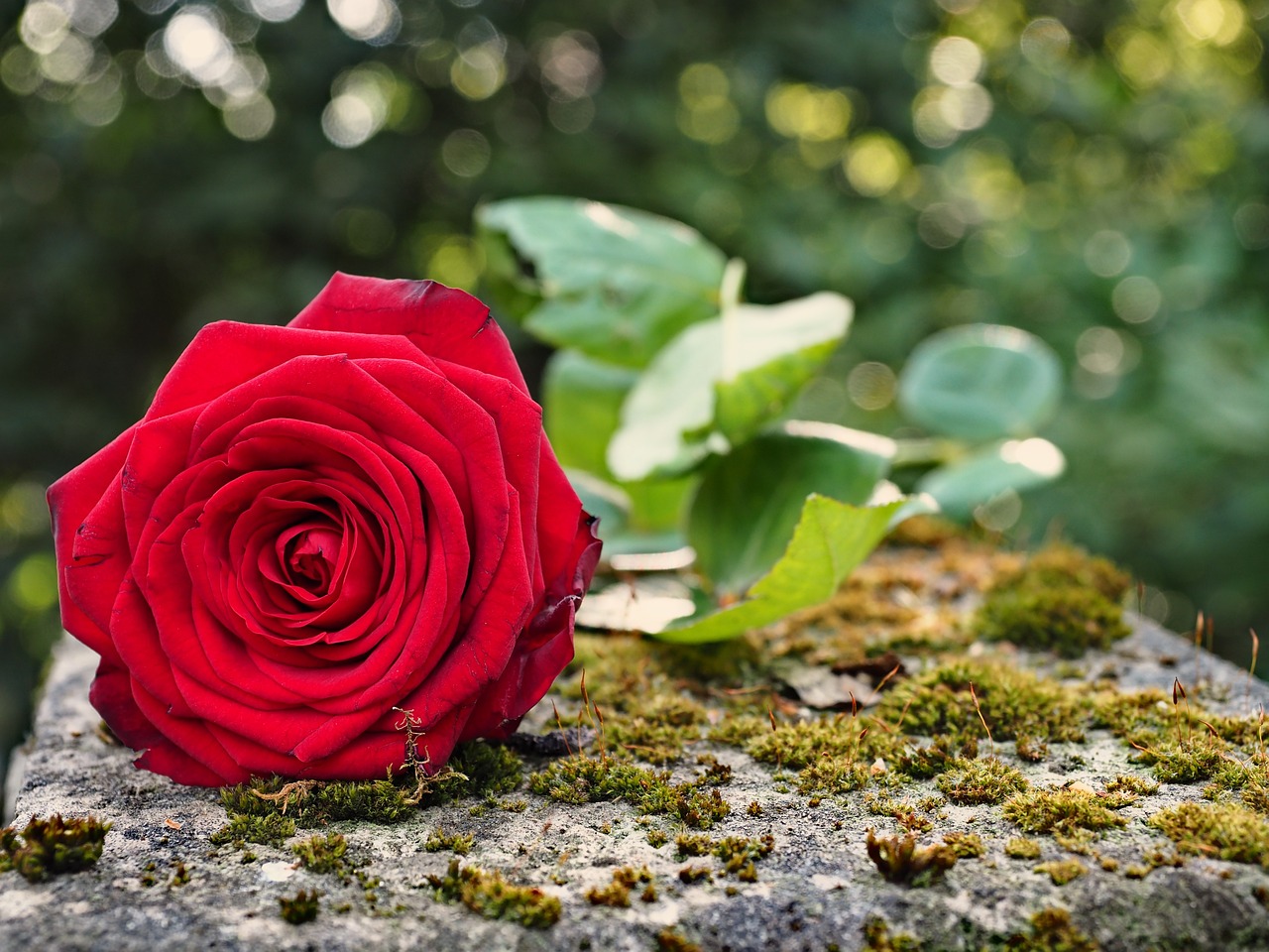 «Έφυγε» από τη ζωή ο Ιωάννης Κυριακίδης σε ηλικία 48 ετών