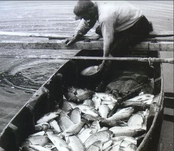 Η Βίβλος και το ψάρεμα