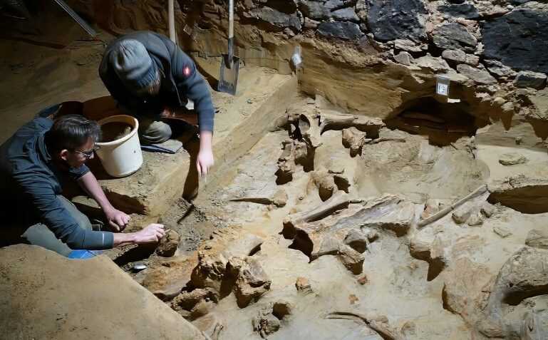 Οστά μαμούθ 40.000 ετών ανακαλύφθηκαν σε κελάρι κρασιών στην Αυστρία