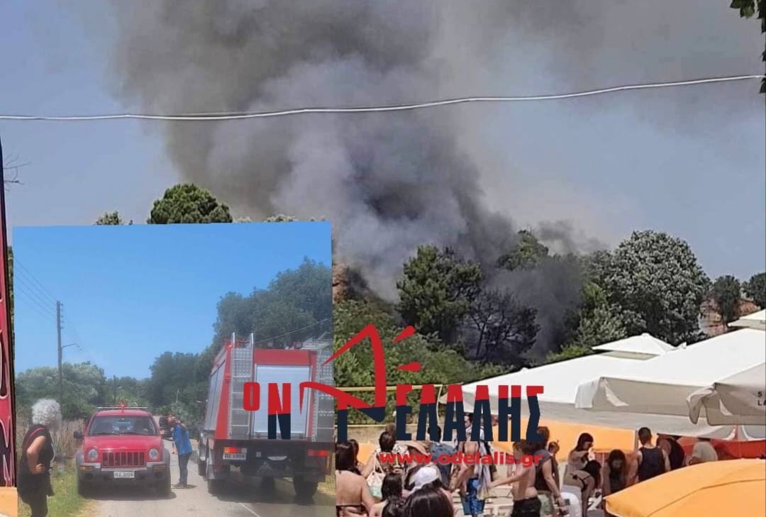 ΤΩΡΑ: Μεγάλη φωτιά στην Πύδνα