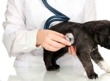 Ευχαριστήριο του κτηνιάτρου Σάκη Ράπτη που συνταξιοδοτήθηκε